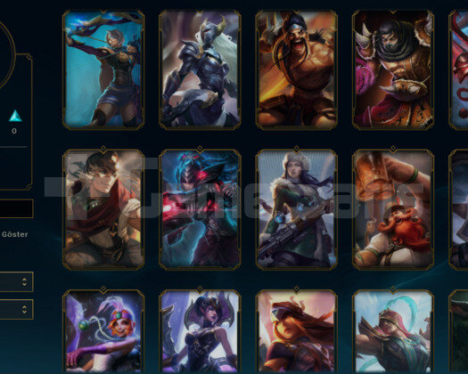 TR 2014-15ELMAS NADİR SİMGELİ 15SKIN 40HERO ANTİKA