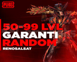 50-99 LEVEL GARANTİ DOLU RANDOM HESAP