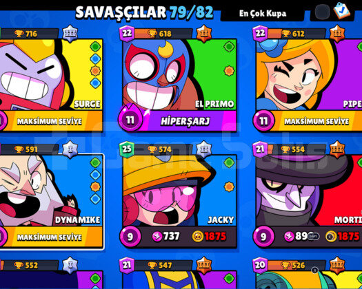 31K KUPA=79KARAKTER=73SKİN MAX HESAP