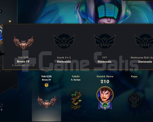 TR HANDMADE BRONZ4 DJ SONA 26 SKIN 56HERO 100W.R