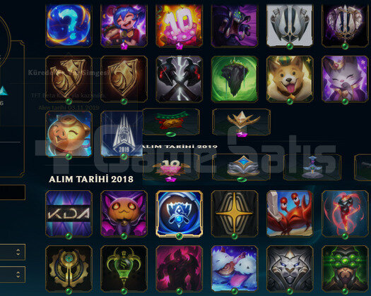 TR HANDMADE BRONZ4 DJ SONA 26 SKIN 56HERO 100W.R