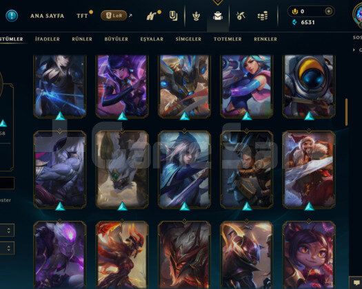 TR | 169 LEVEL / 90 SKİN / 109 HERO MAİL DEĞİŞEN
