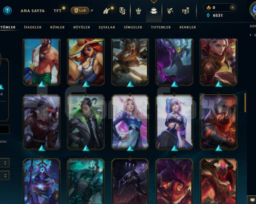 TR | 169 LEVEL / 90 SKİN / 109 HERO MAİL DEĞİŞEN