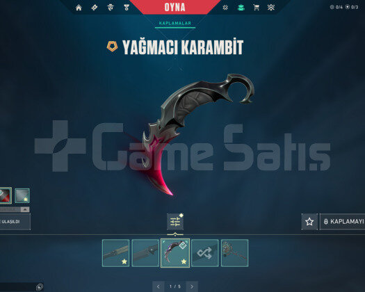 YAĞMACI KARAMBİT/KAOS/EJDER/ASİL E-POSTA HESAP