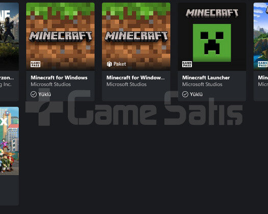 minecraft rdr2 ve fazlası