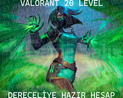 20 Level Dereceliye Hazır Hesap
