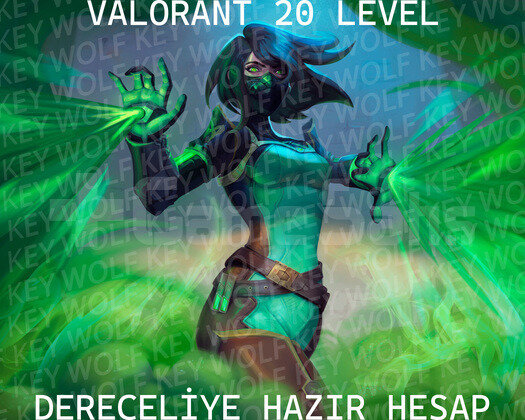 20 Level Dereceliye Hazır Hesap