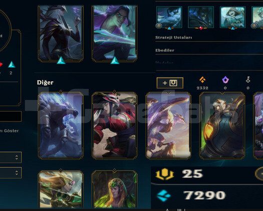 EUW HANDMADE PLAT4 9SKIN 33 HERO YÜKSEK MMR
