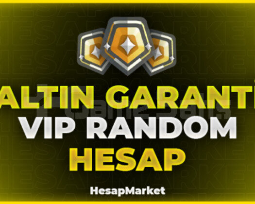 VALORANT 100 TR ALTIN RANK VİP RANDOM HESAP