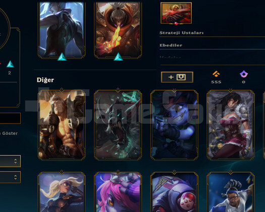 TR HANDMADE BRONZ 3 TEMİZ 11SKIN 32HERO