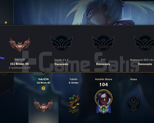 TR HANDMADE BRONZ 3 TEMİZ 11SKIN 32HERO
