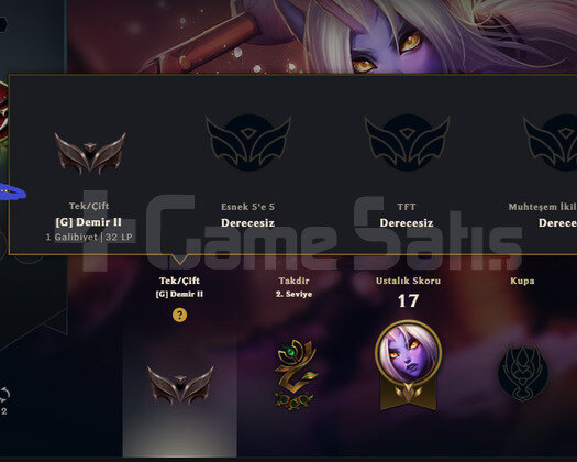 EUW2013 KURULUM DEMİR2 40SKIN 47SKIN SORAKA MAİN