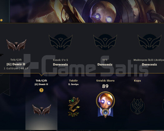 TR HANDMADE 2014 NADİR 11SKIN 46HERO DEMİR 2