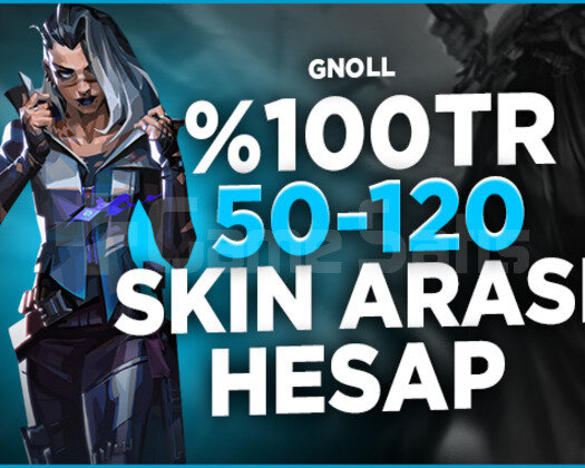 100TR SUNUCU 50-120 SKİN  DOLU Hesap
