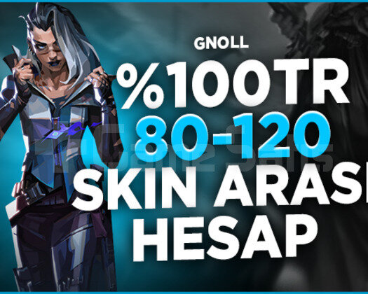 100TR SUNUCU 80-120 SKİN +3 BIÇAKLI DOLU