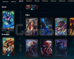 TR 2016 REG 61 HERO 10 SKIN HANDMADE UNRANKED ACC