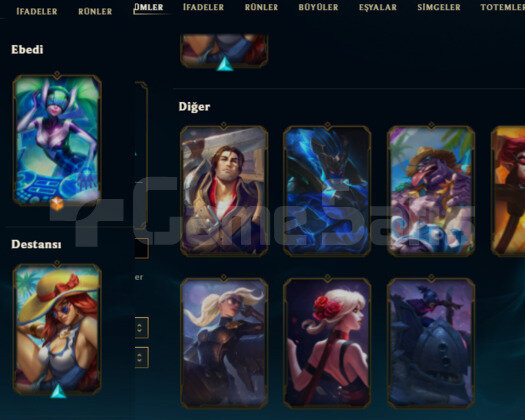 TR 2016 REG 61 HERO 10 SKIN HANDMADE UNRANKED ACC