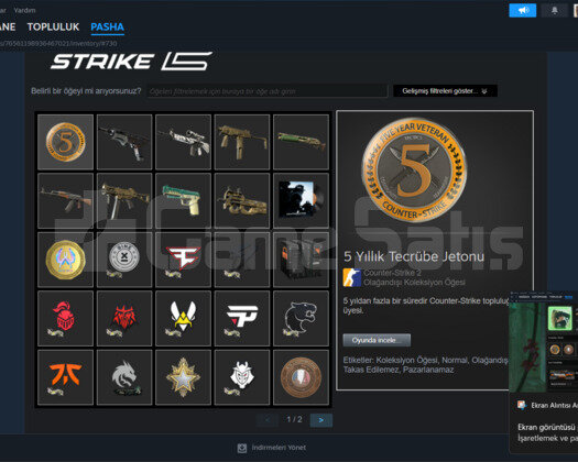 Counter Strike 2 Seçkin + OYUN Dolu Mainlik Hesap