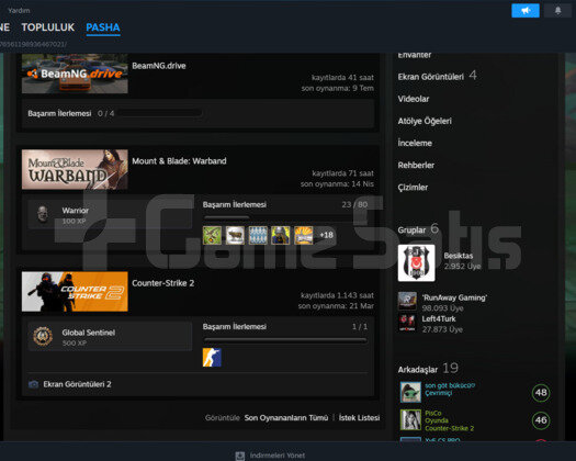 Counter Strike 2 Seçkin + OYUN Dolu Mainlik Hesap