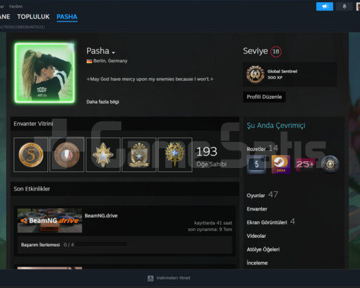Counter Strike 2 Seçkin + OYUN Dolu Mainlik Hesap