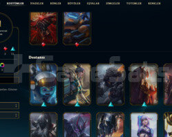 TR 21 SKIN 58 HERO HANDMADE DEMIR 2 GOBLIN HESAP