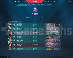 Diamond 1 Nick değiştirme Hakkı Var