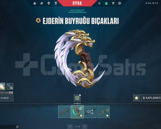 RGX KELEBEK/EJDERİN BUYRUĞU/YAĞMACI EPOSTALI HESAP