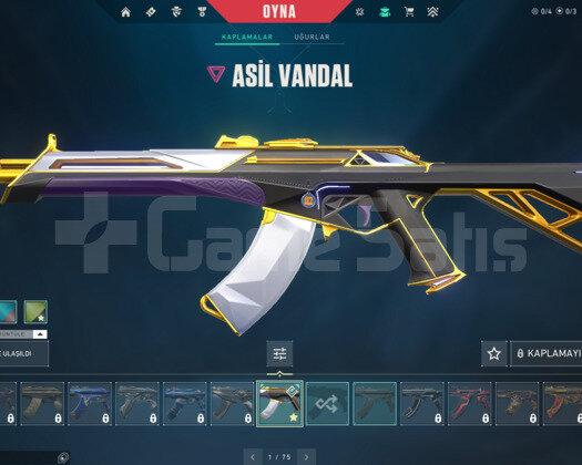 ASİL VANDALLI FRESH HESAP KENDİ MAİLİNE DEVREDİLİR