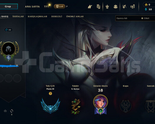 WEST PLAT 3 65 LP MAİL ONAYSIZ UCUZ HESAP