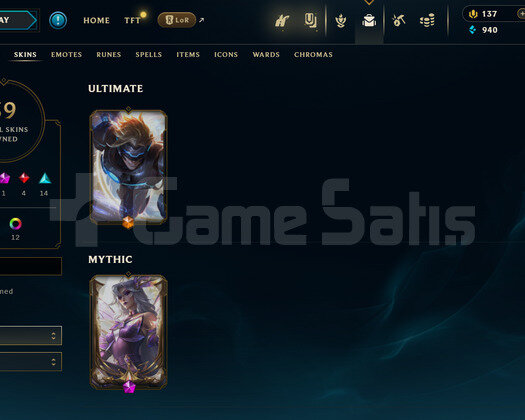 TR ZÜMRÜT 4 - 66 HERO 39 KOSTÜM HANDMADE HESAP
