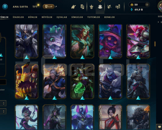 453 LEVEL / 228 SKİN / FUL HERO MAİL DEĞİŞEN