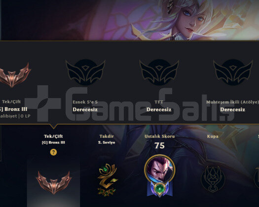 TR HANDMADE ELAMANTALİST LUX 14 SKİN 43 HERO