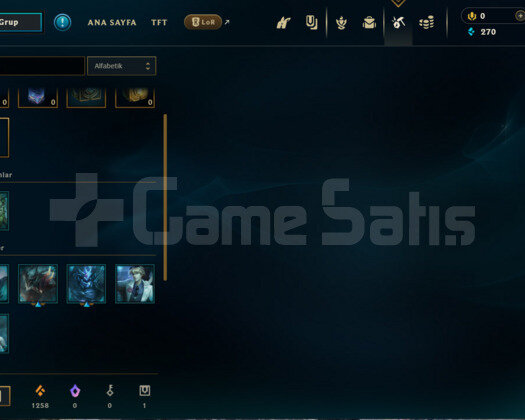 TR DEMİR 2 S12 HESABI