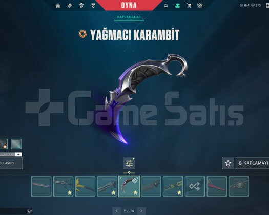 RGX KELEBEK/YAĞMACI KARAMBİT/KAOS E-POSTA HESAP