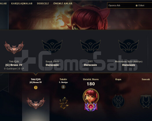 TR 116 SEVIYE 20 KOSTUM 80 HERO BRONZ 4 GOBLIN ACC