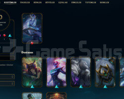 TR 116 SEVIYE 20 KOSTUM 80 HERO BRONZ 4 GOBLIN ACC