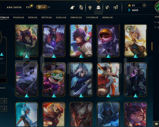 387 LEVEL / 129 SKİN / FUL HERO MAİL DEĞİŞEN