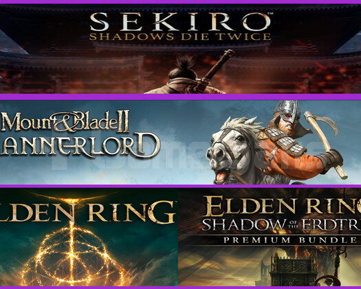 Sekiro + Mount Blade Bannerlord + Elden Ring