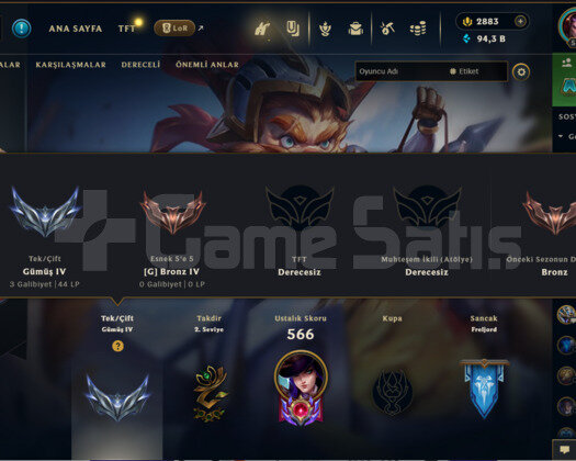 TR 548LVL 171 KOSTÜM 11 YILLIK MAİNLEMELİK HESAP