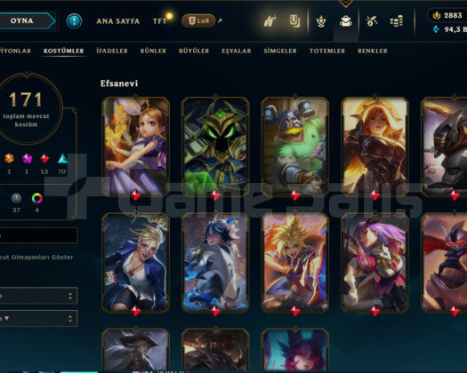 TR 548LVL 171 KOSTÜM 11 YILLIK MAİNLEMELİK HESAP