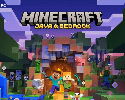 Minecraft Java & Bedrock + Garanti