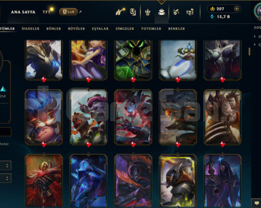 371 LEVEL / 411 SKİN / FUL HERO MAİL DEĞİŞEN