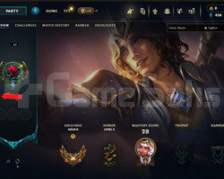 +90wr gold 2 50 lp +38 -10