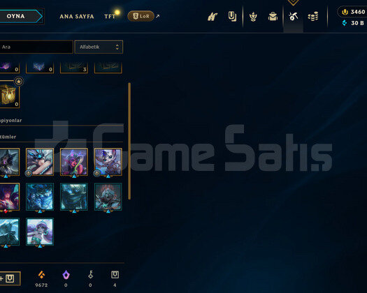 3460 RPLİ 30K MÖ+ EFSANE Z2 65 WR HANDMADE HESAP