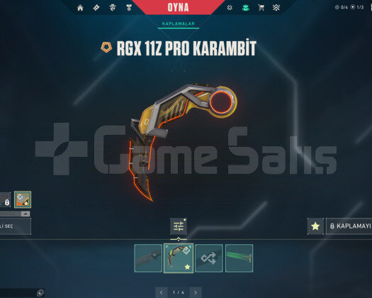 RGX PRO KARAMBİT/KURONAMİ/KAOS E-POSTA HESAP