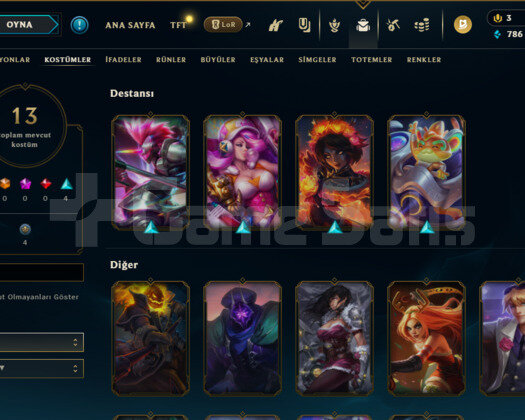 ZÜMRÜT 4 +38LP 69WR 12 KOSTÜM Plat 4 Esnek