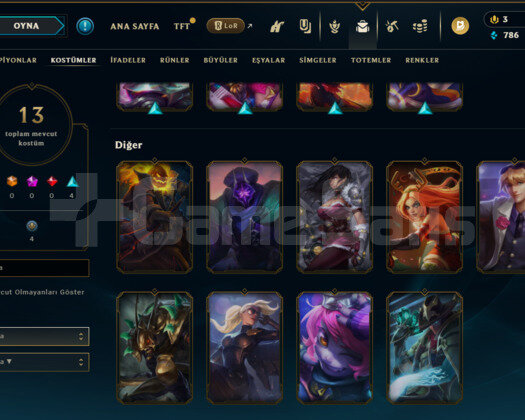 ZÜMRÜT 4 +38LP 69WR 12 KOSTÜM Plat 4 Esnek