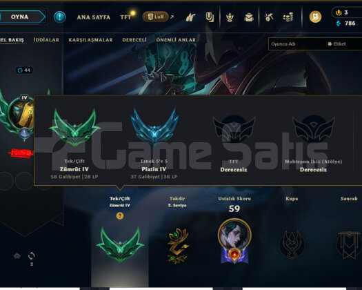 ZÜMRÜT 4 +38LP 69WR 12 KOSTÜM Plat 4 Esnek