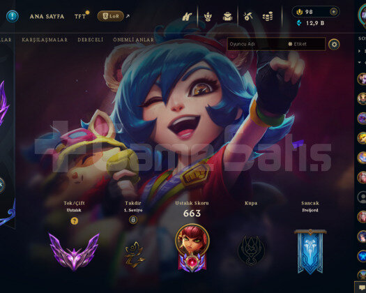 tr master main hesabım