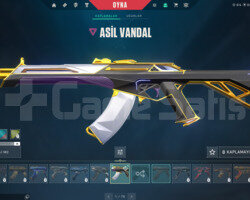 ASİL VANDALLI FRESH HESAP KENDİ MAİLİNE DEVREDİLİR